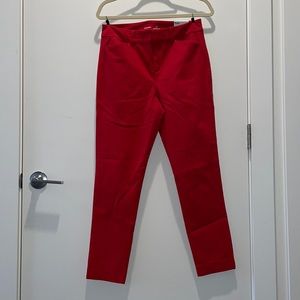 Red dress pants